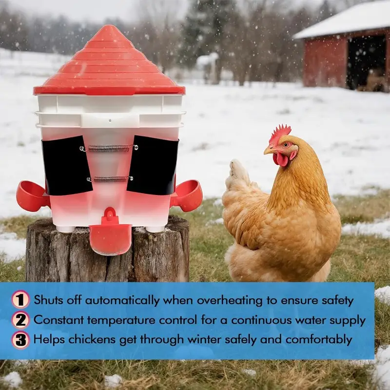 Bucket Water Heater — Chicken Water Heater 5 6
