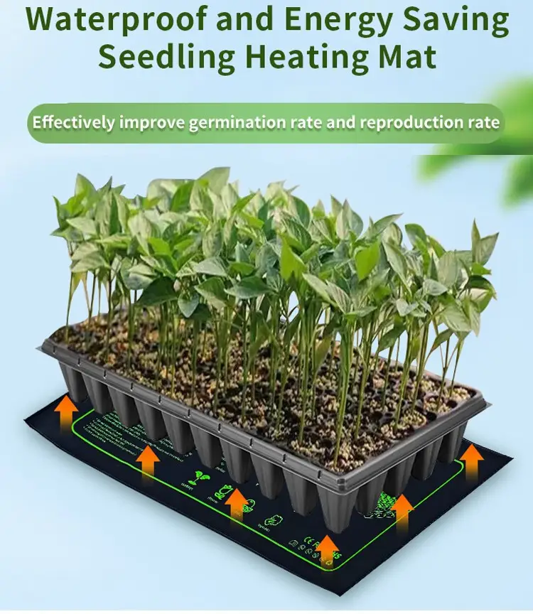 Heating Mat For Seeds — Seedling Heat Mat 801 1