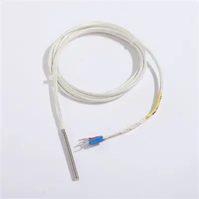 4 Wires 3 Wire Rtd Pt1000 Pt100 Sensors — gallery image 3