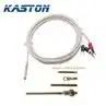 High Temperature Sensor Pt100 Rtd Pt100 — gallery image 3